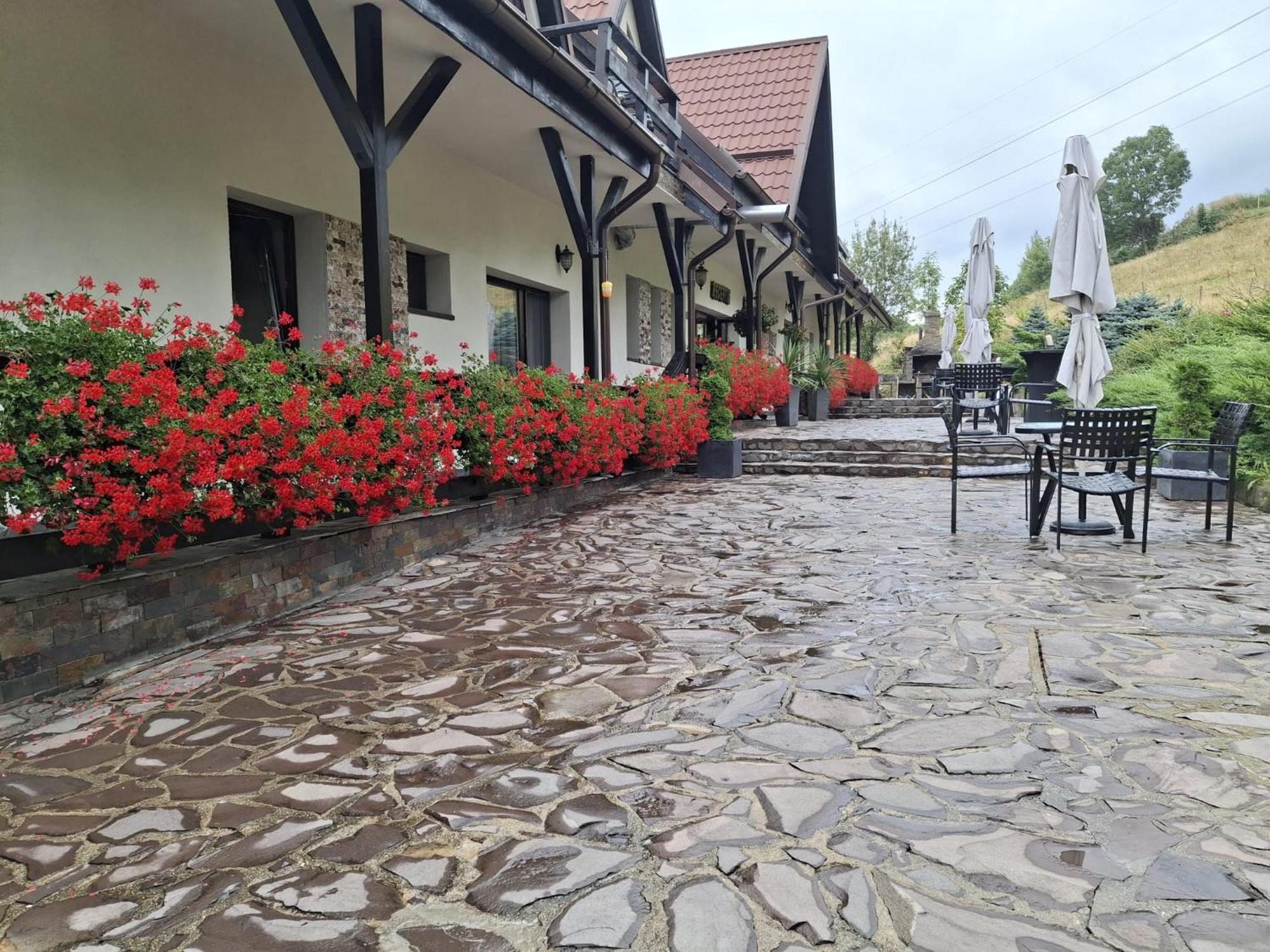 Contele Vladimir Hotel Bran  Buitenkant foto